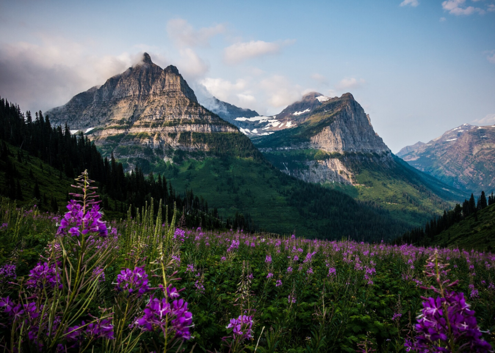 #35. Montana